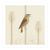 Sedge Warbler (Print Only) thumbnail