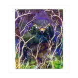 Dead Of Night (Print Only) thumbnail