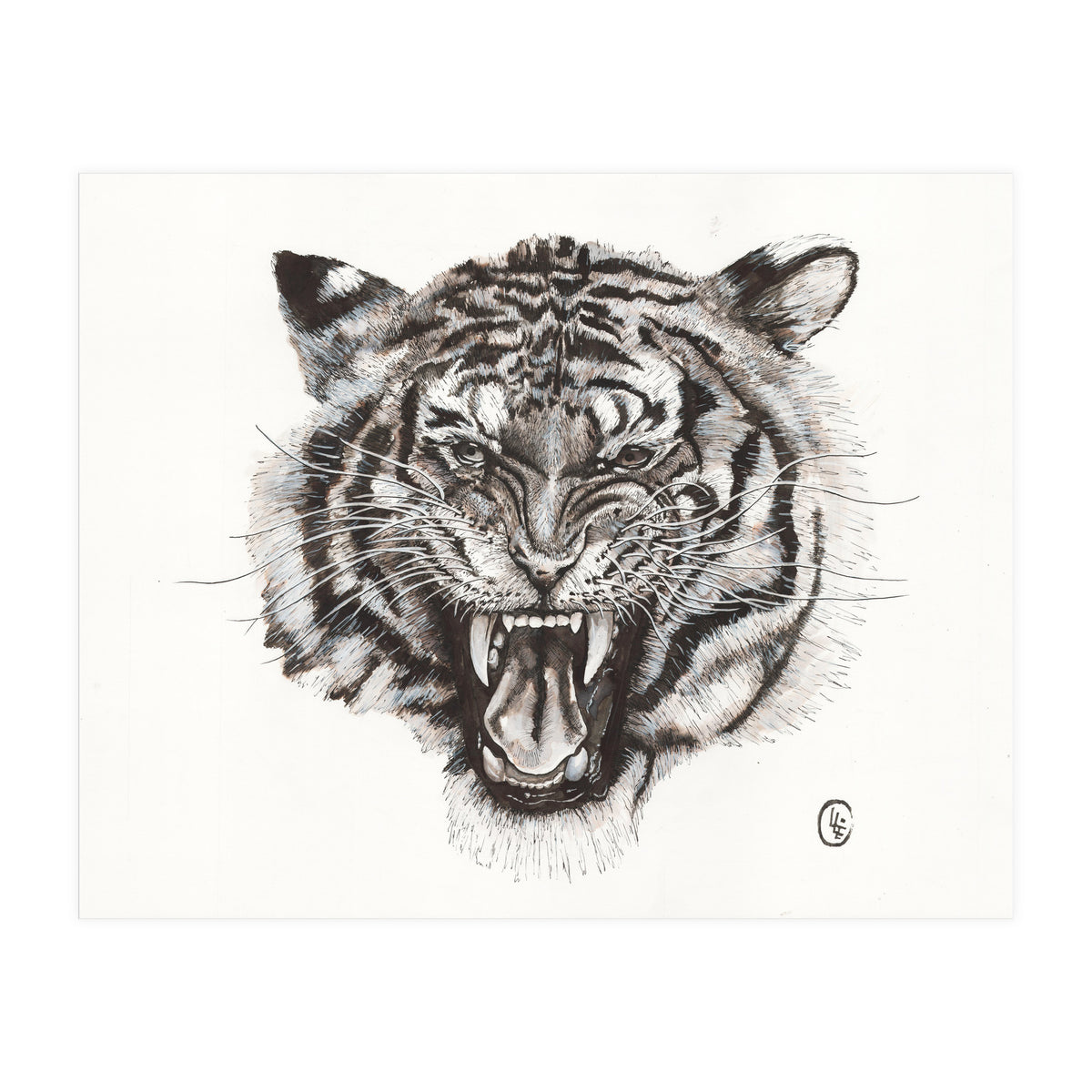 Tiger (Print Only)
