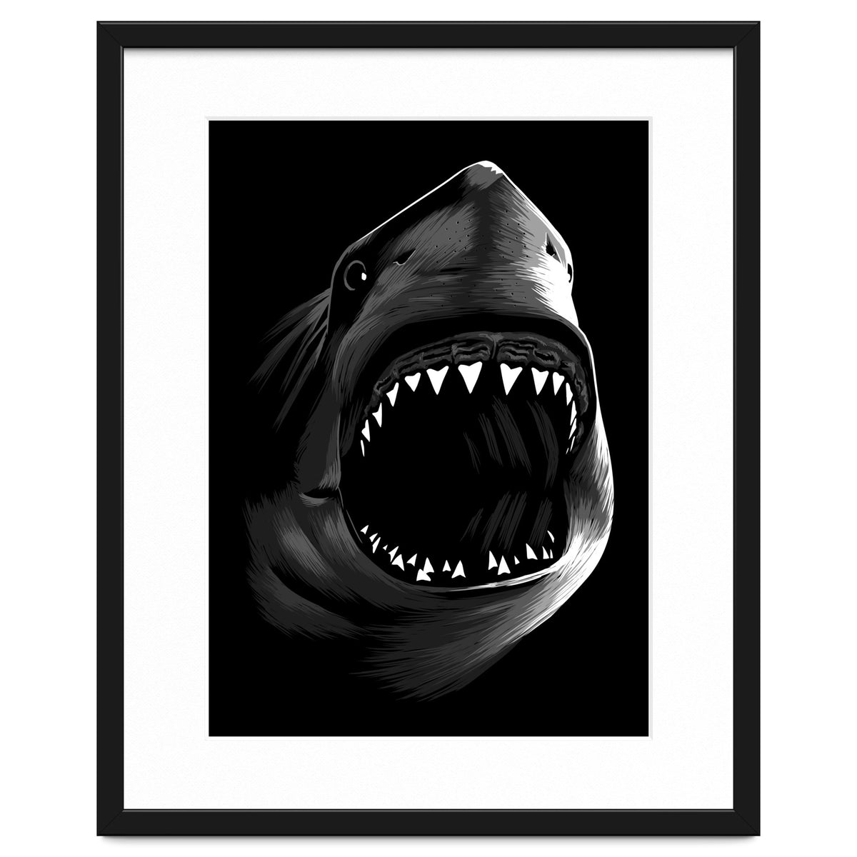 Megalodon