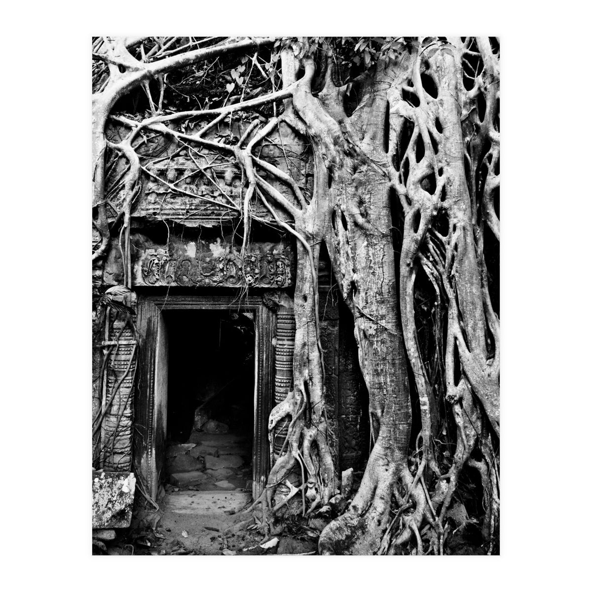 Ta Prohm Temple, Cambodia (Print Only)
