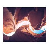 Twisted (Print Only) thumbnail