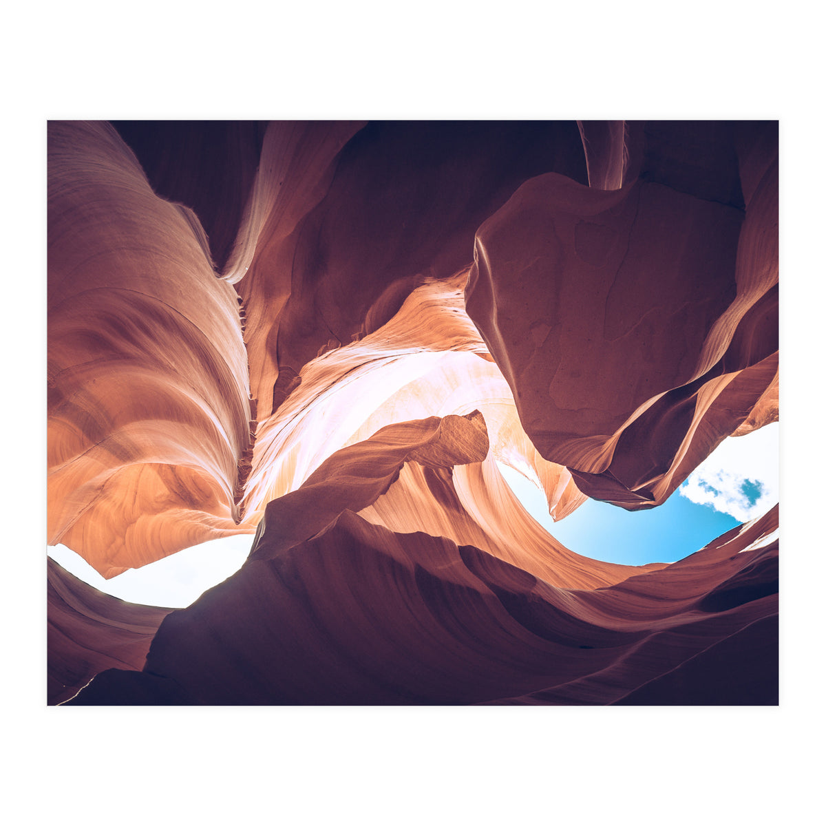 Twisted (Print Only)