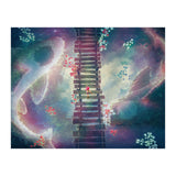 Walking Through Sun, Moon, and Stars (Print Only) thumbnail