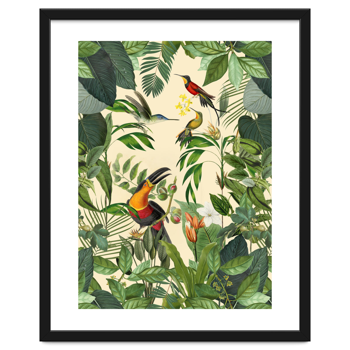 Green Jungle Toucans