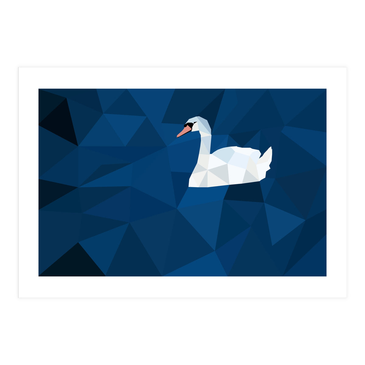 Swan In Water Artwork (Print Only)