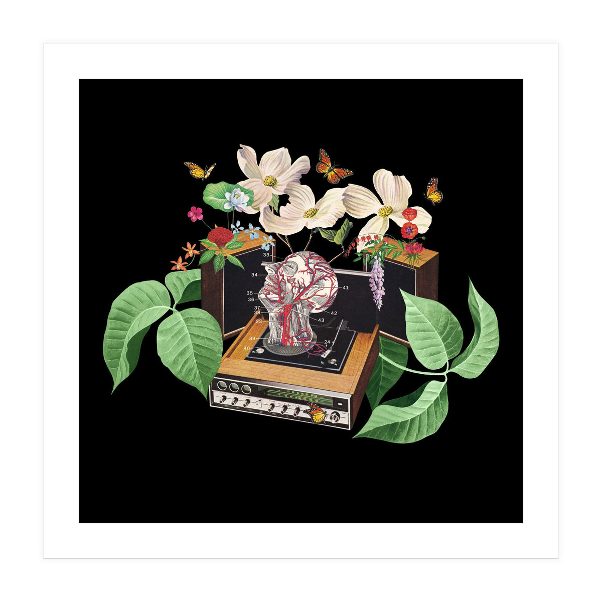 Where Is My Mind (Print Only)