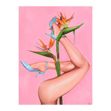 Bird Of Paradise (Print Only) thumbnail