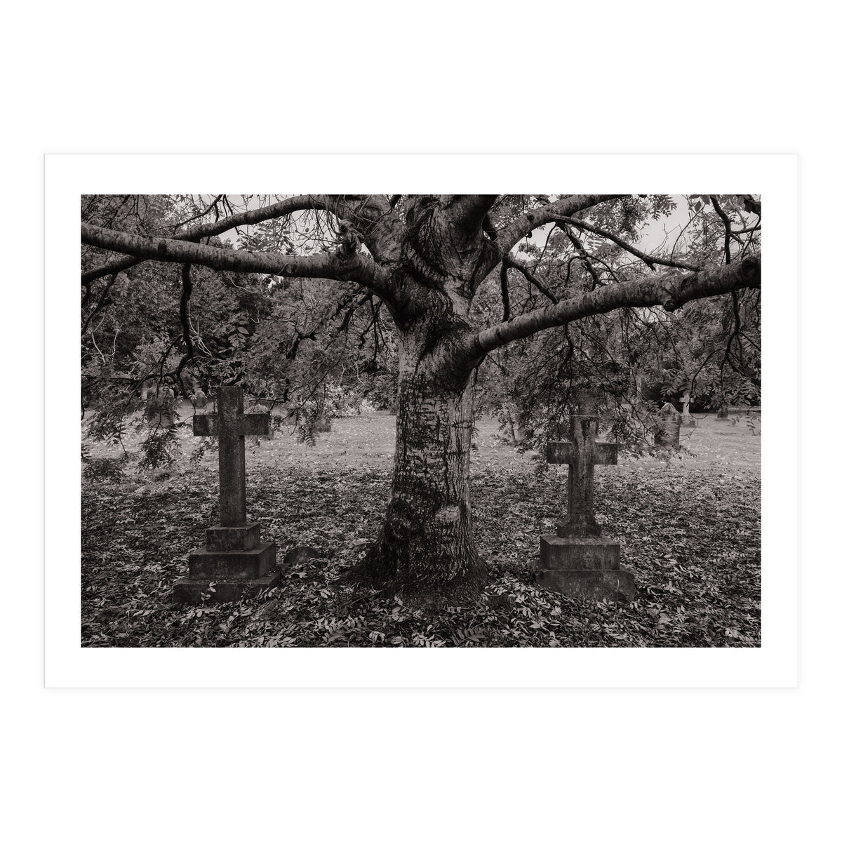 Golgotha (Print Only)