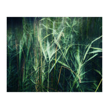 green green grass (Print Only) thumbnail