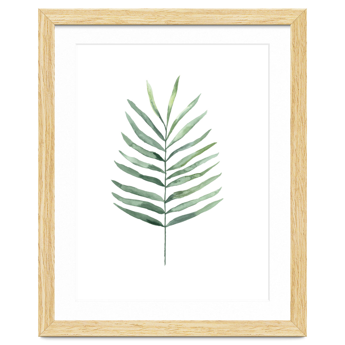 Botanical Illustration Fern