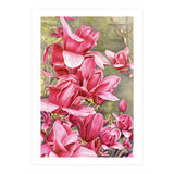 Magnolia 5 (Print Only) thumbnail