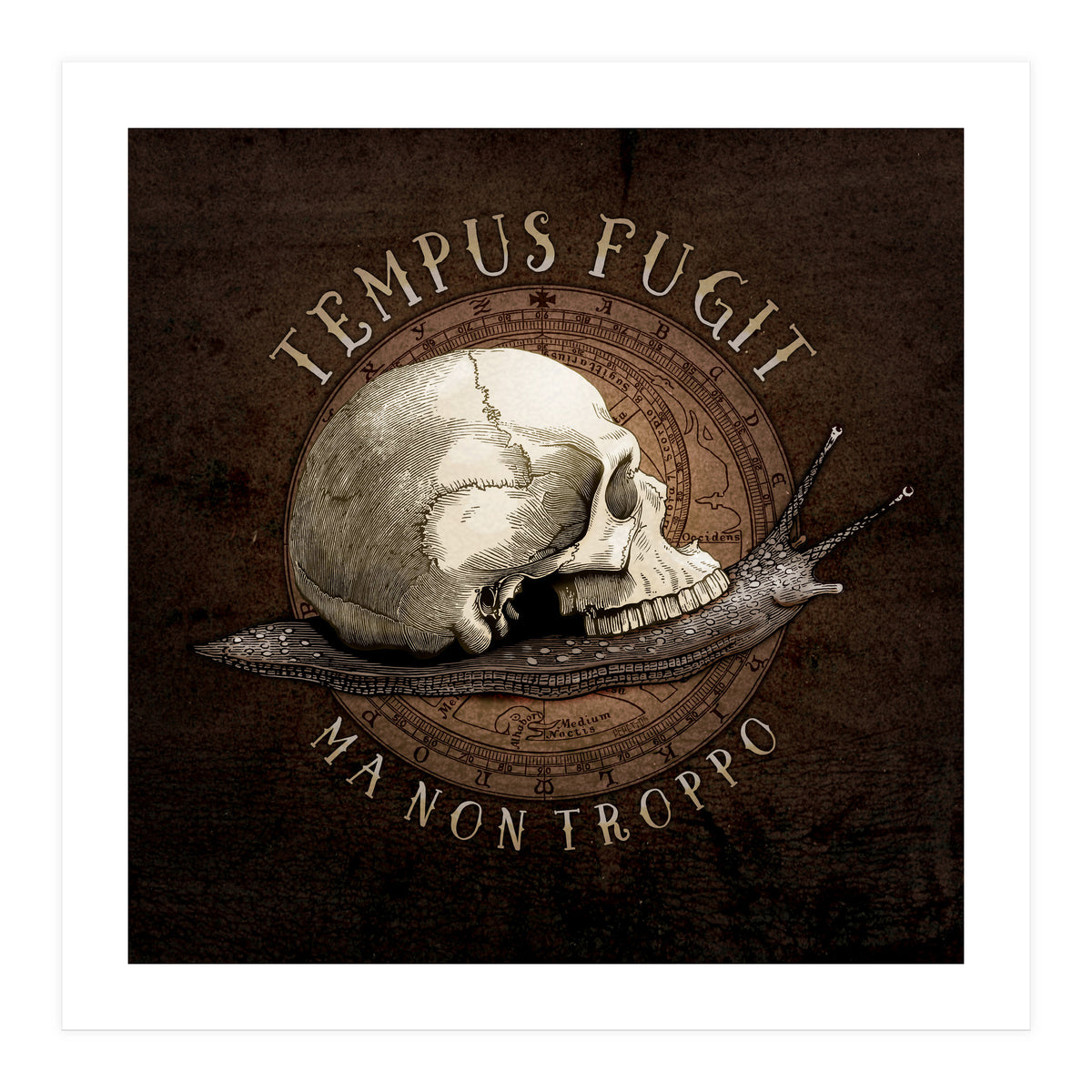 Tempus Fugit (ma non troppo) (Print Only)