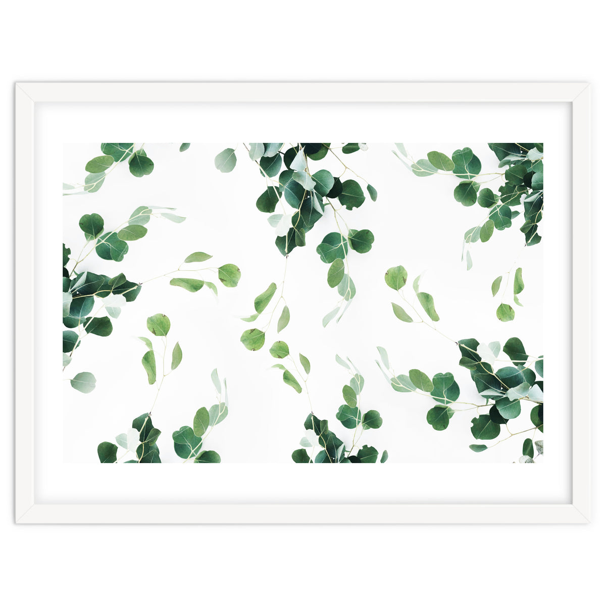 Botanical Celebration