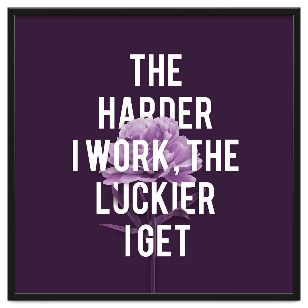Work Hard Be Lucky