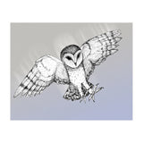 Attacking barn owl (Print Only) thumbnail