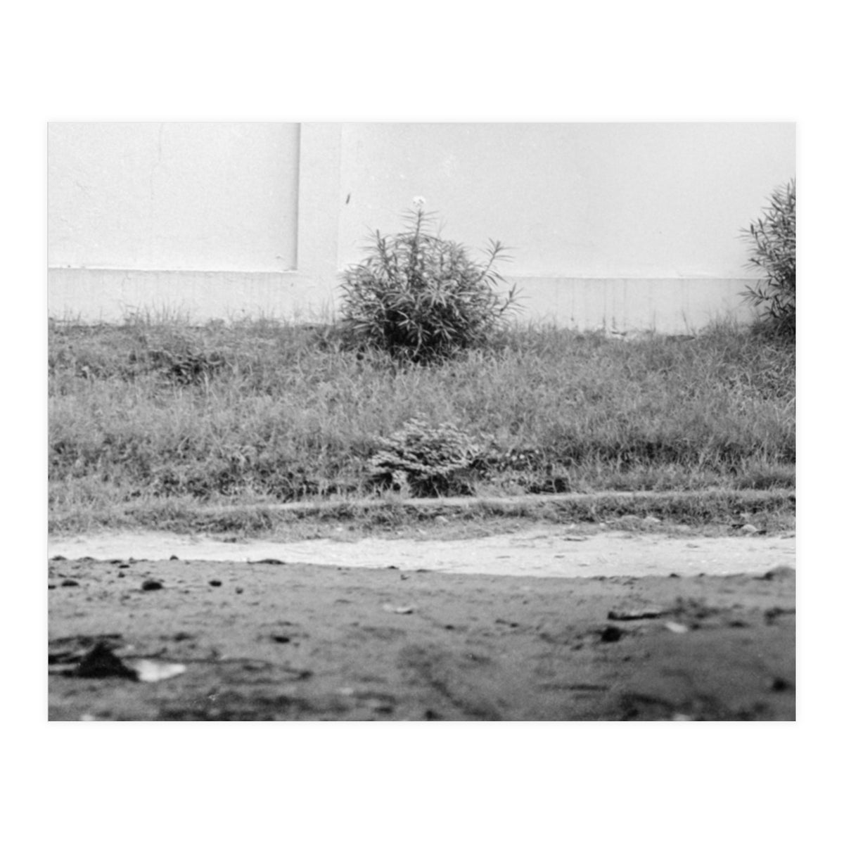 Dar Es Salam, Tanzania (Print Only)