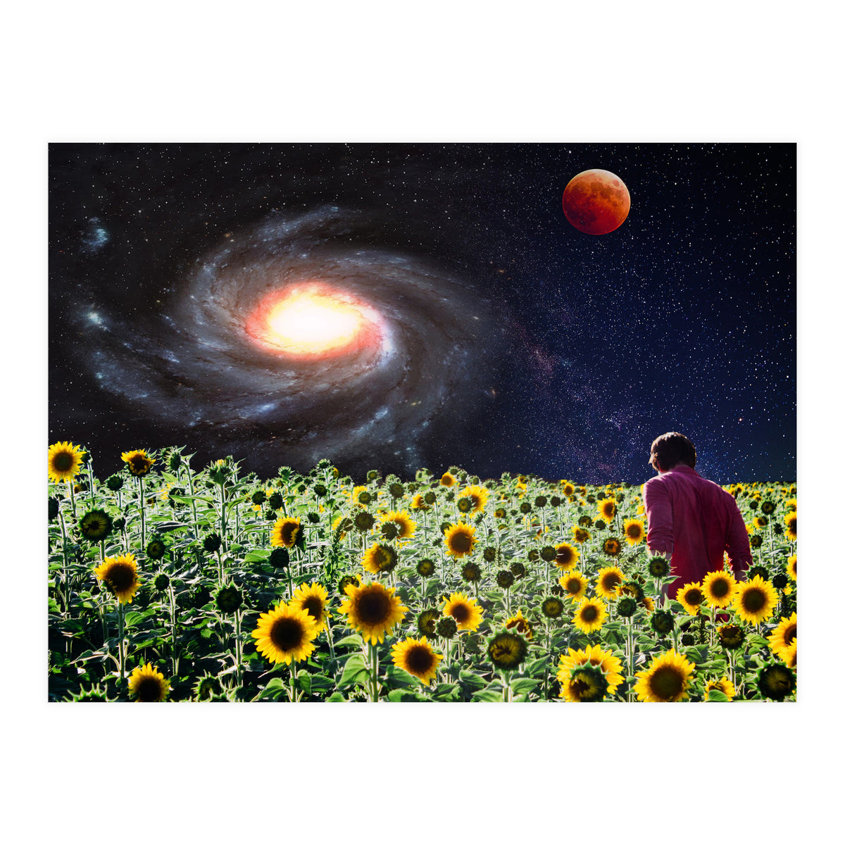 Likakiku  (Print Only)