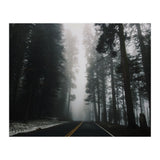 Foggy Yosemite (Print Only) thumbnail