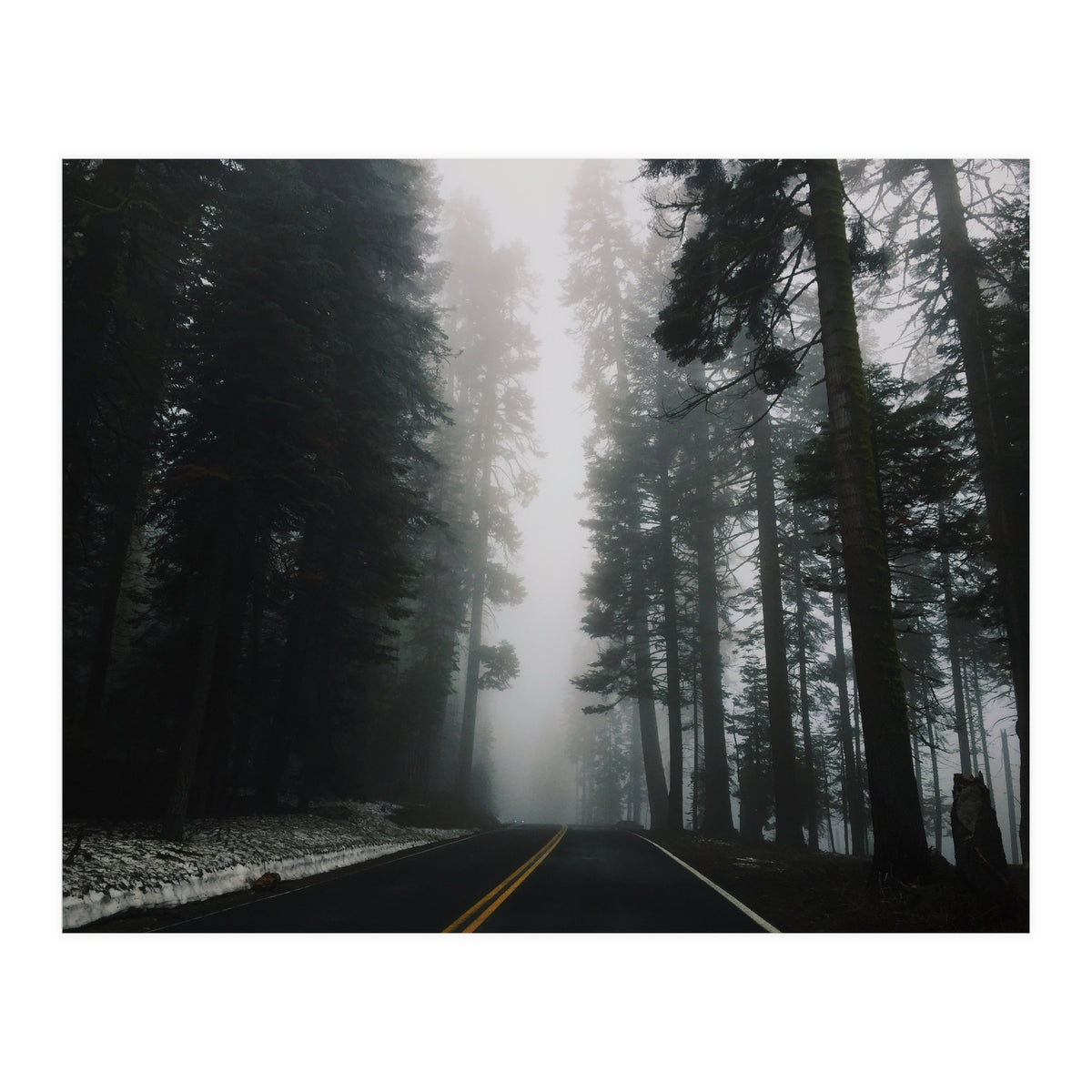 Foggy Yosemite (Print Only)