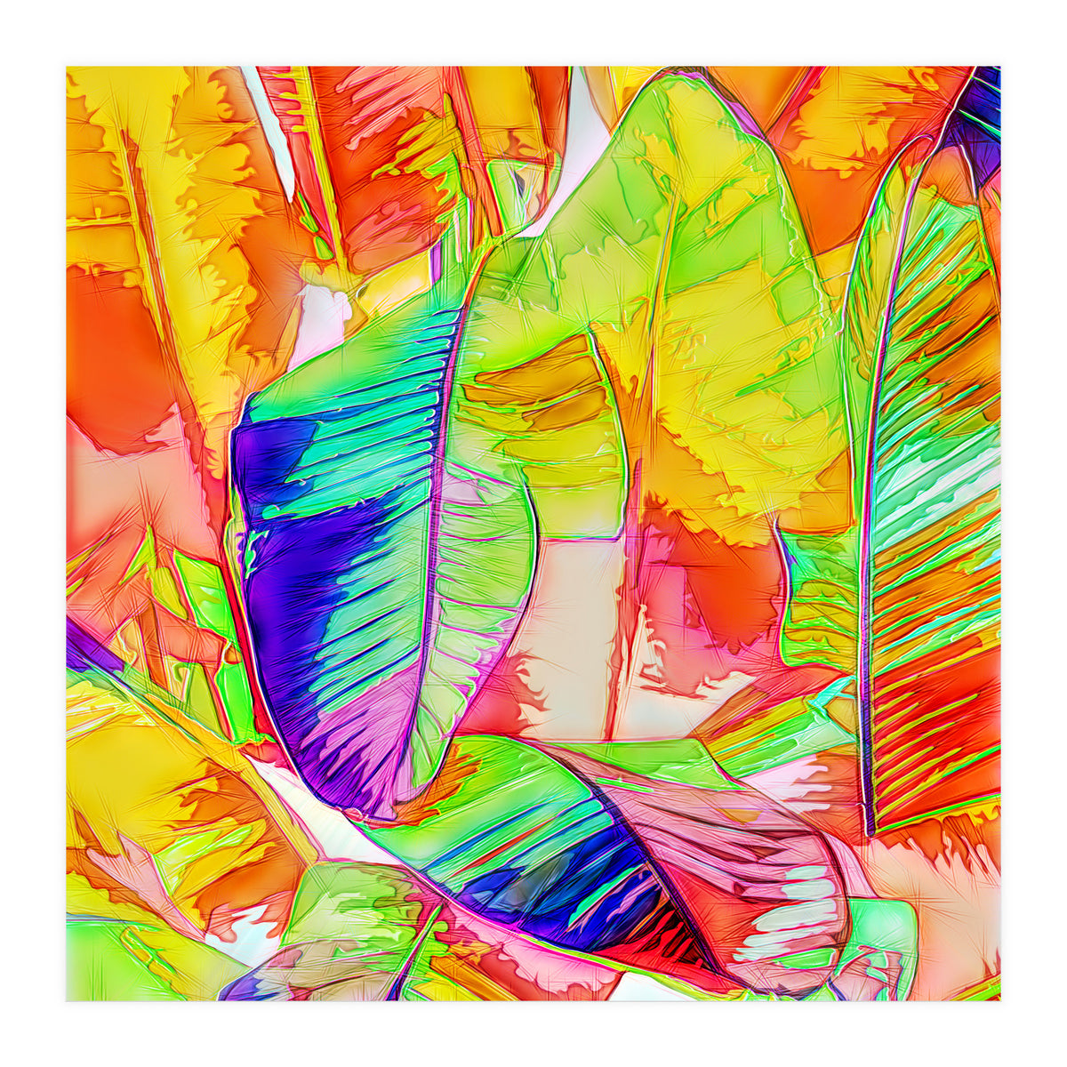 In All Things Of Nature, There's Something Of The Marvelous (Print Only)