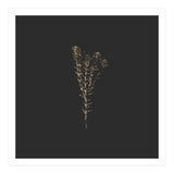 Moody Golden Botanicals - Square (Print Only) thumbnail