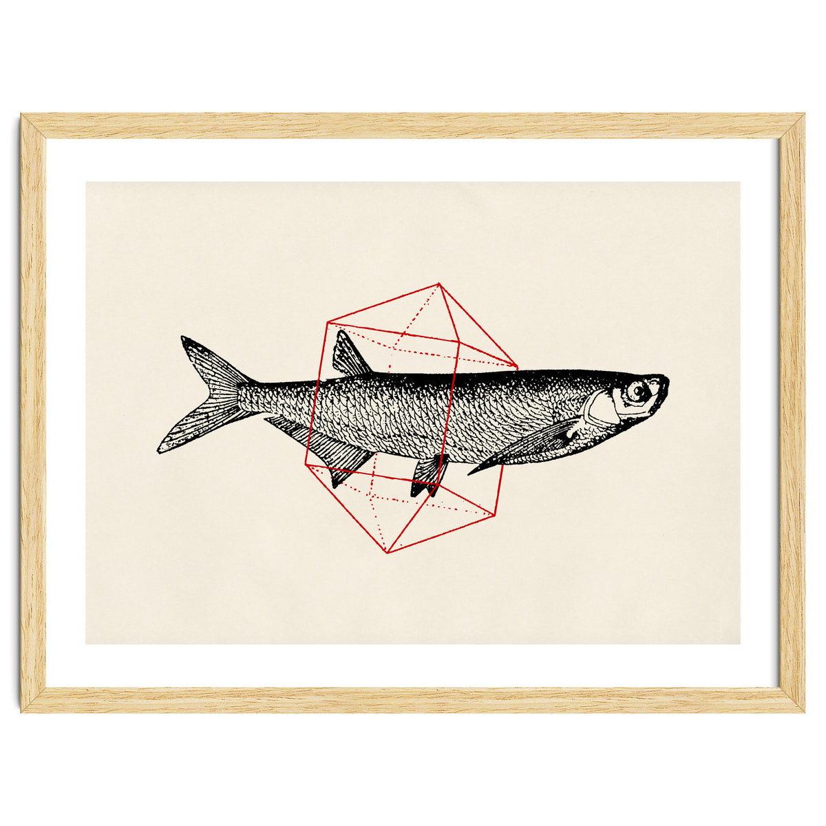 Fish In Geometrics II