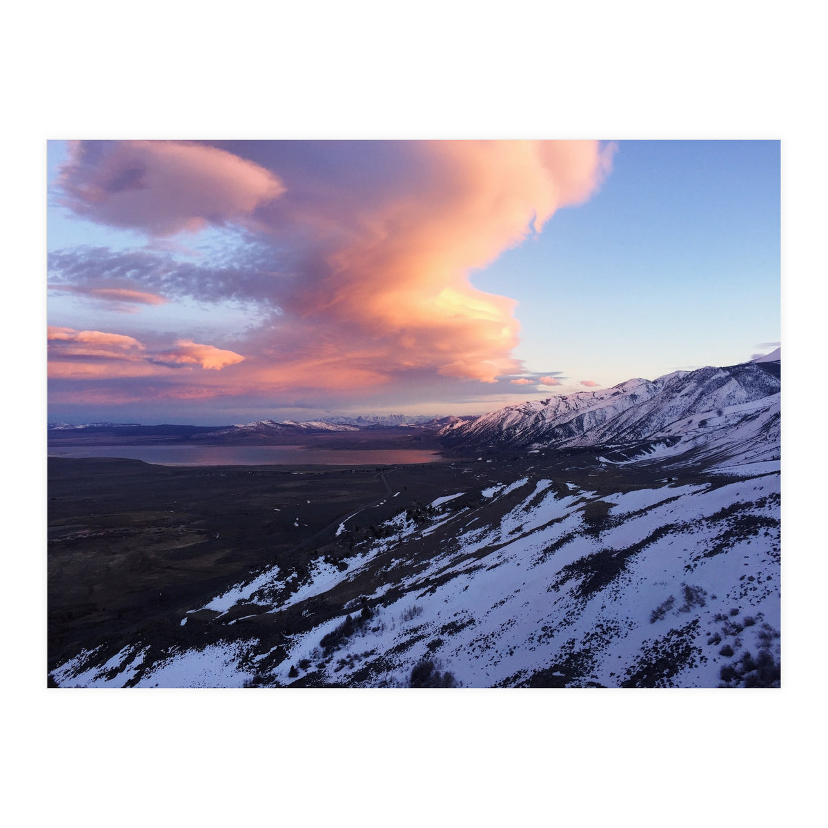 Mammoth (Print Only)