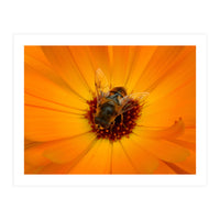 Bee Kind (Print Only)