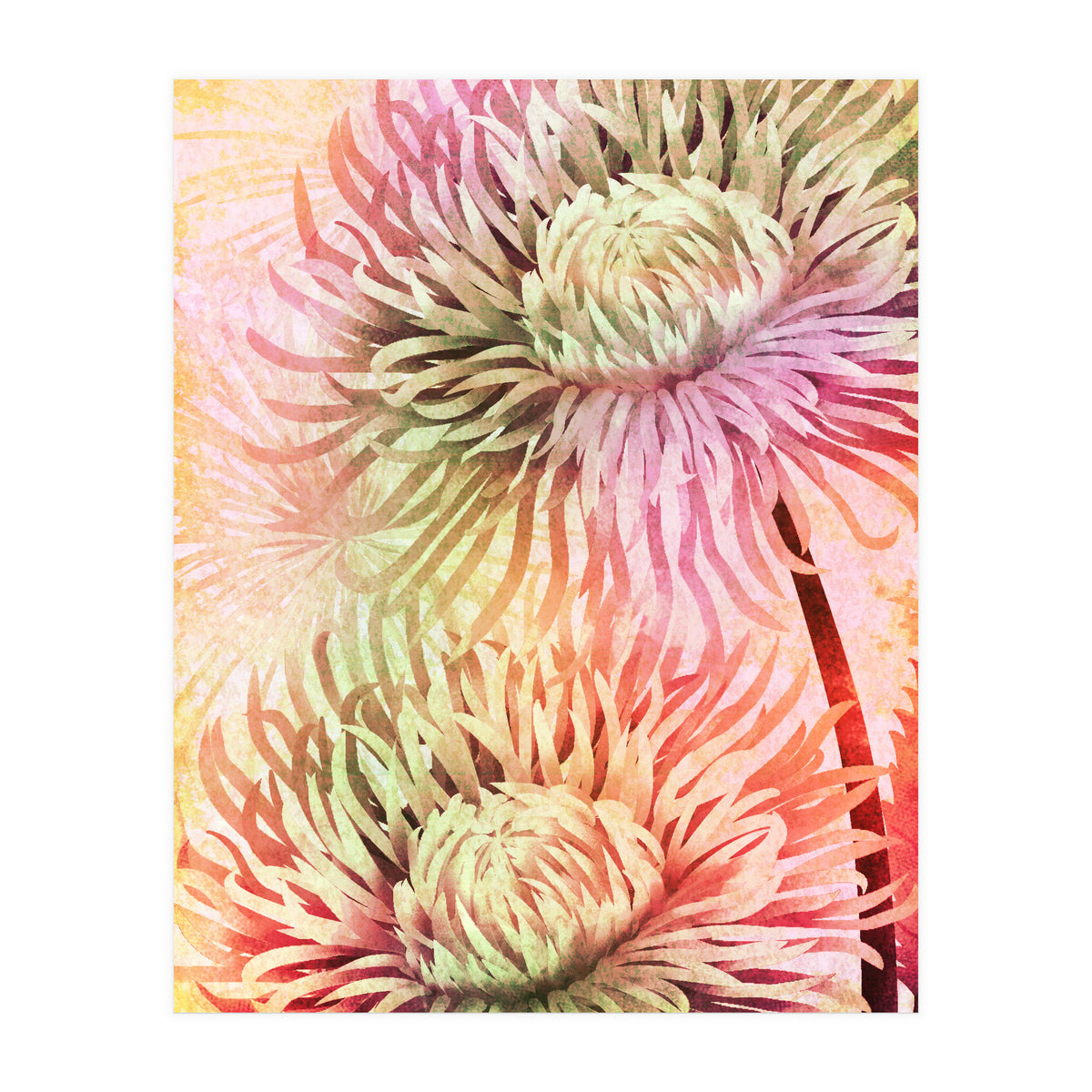Blooming Flowers (Print Only)