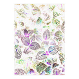 Nature Glow (Print Only) thumbnail