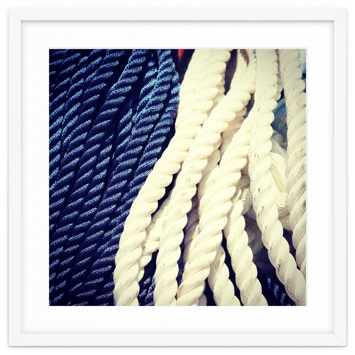 Blue and white fishing rope