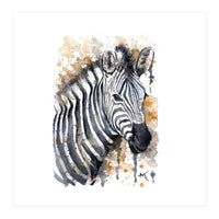 Zebra - Wildlife Collection (Print Only)