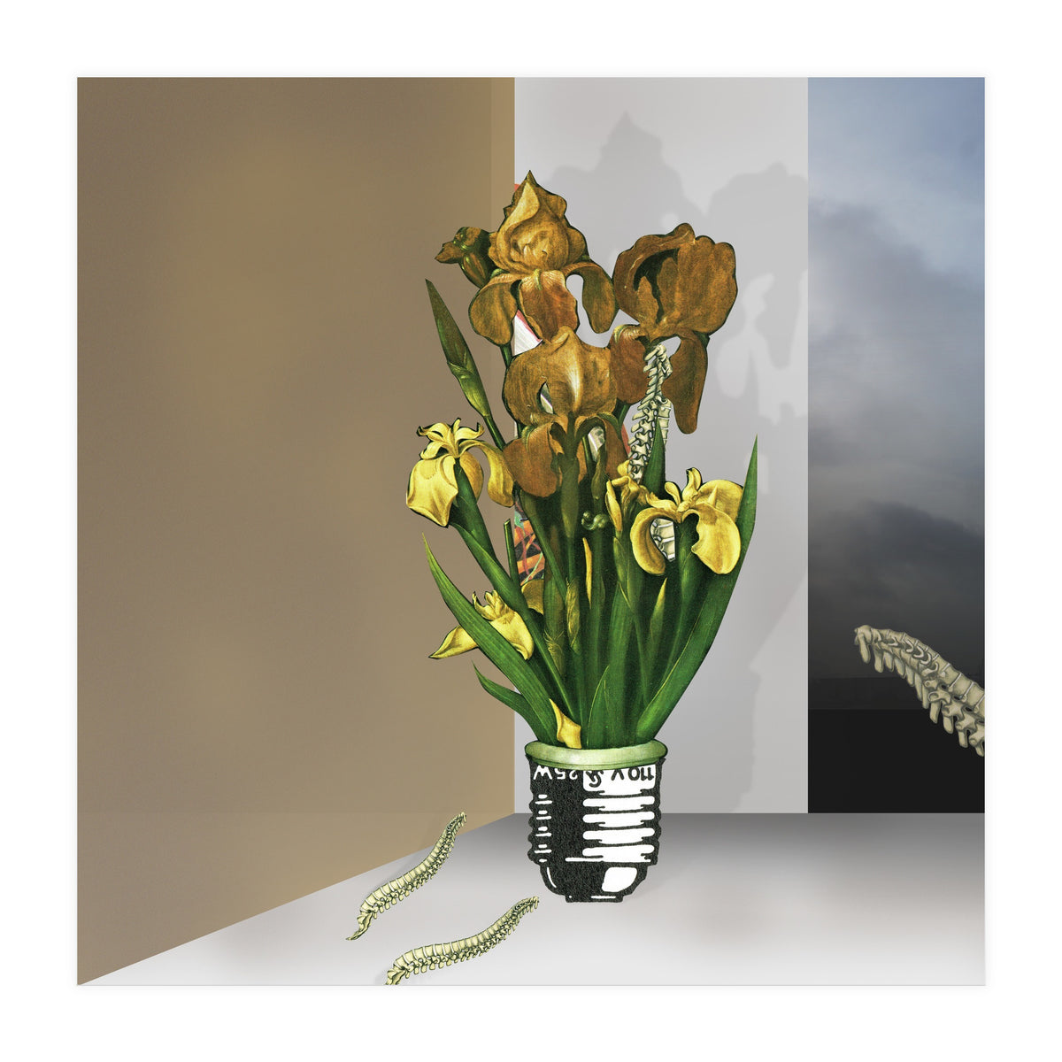 Das Licht Der Pflanze (Print Only)