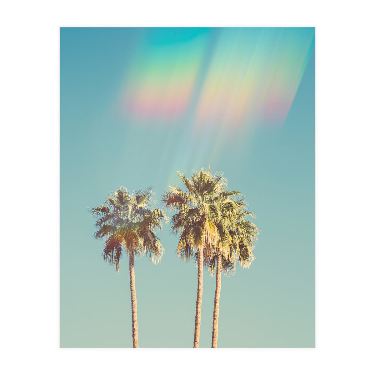 Groovy California Palm Trees (Print Only)