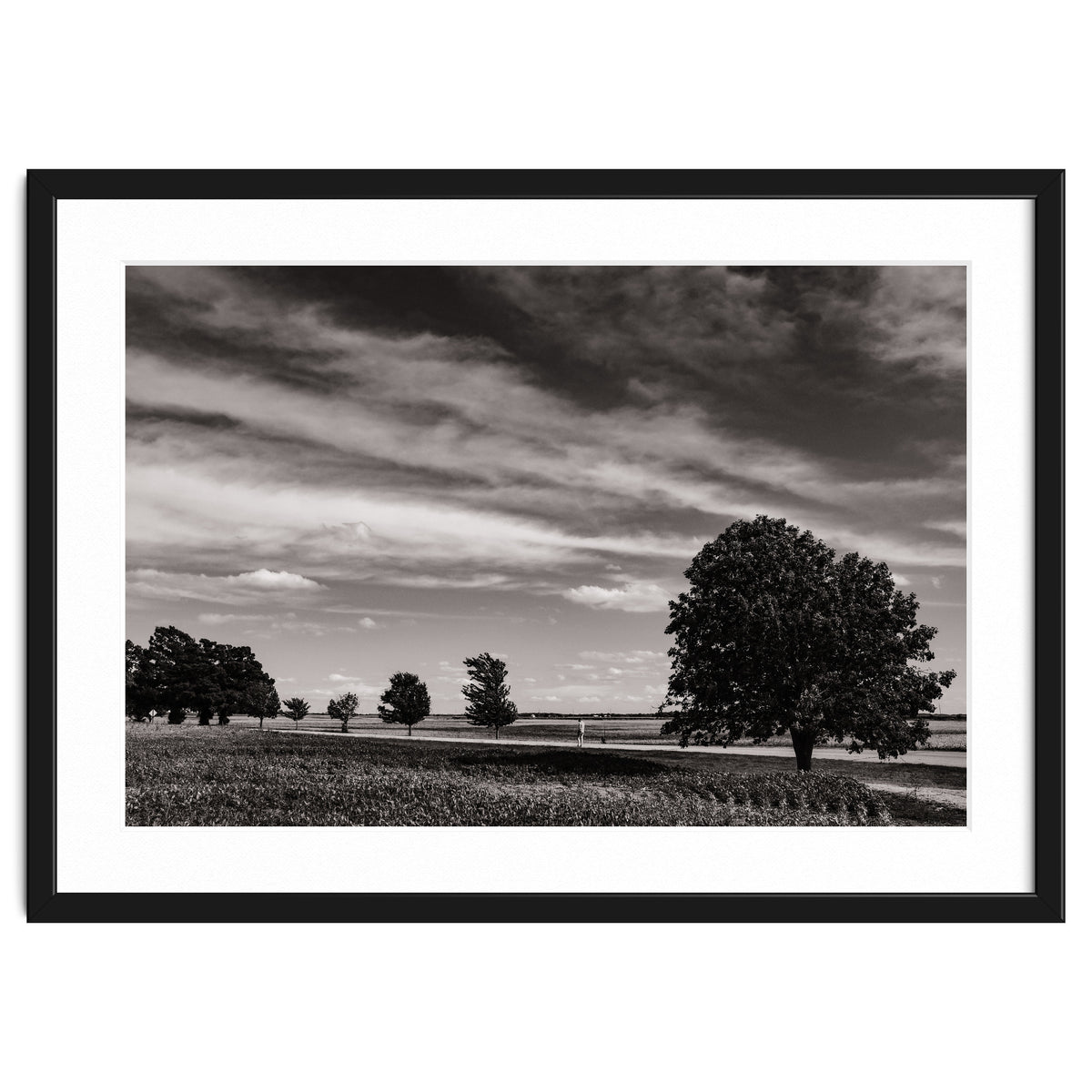 Country Road, Illinois