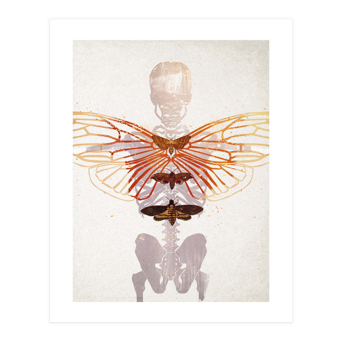 Ikarus - Like a Moth to the Flame (Print Only)
