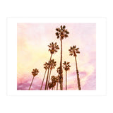 Coconut Groove (Print Only) thumbnail