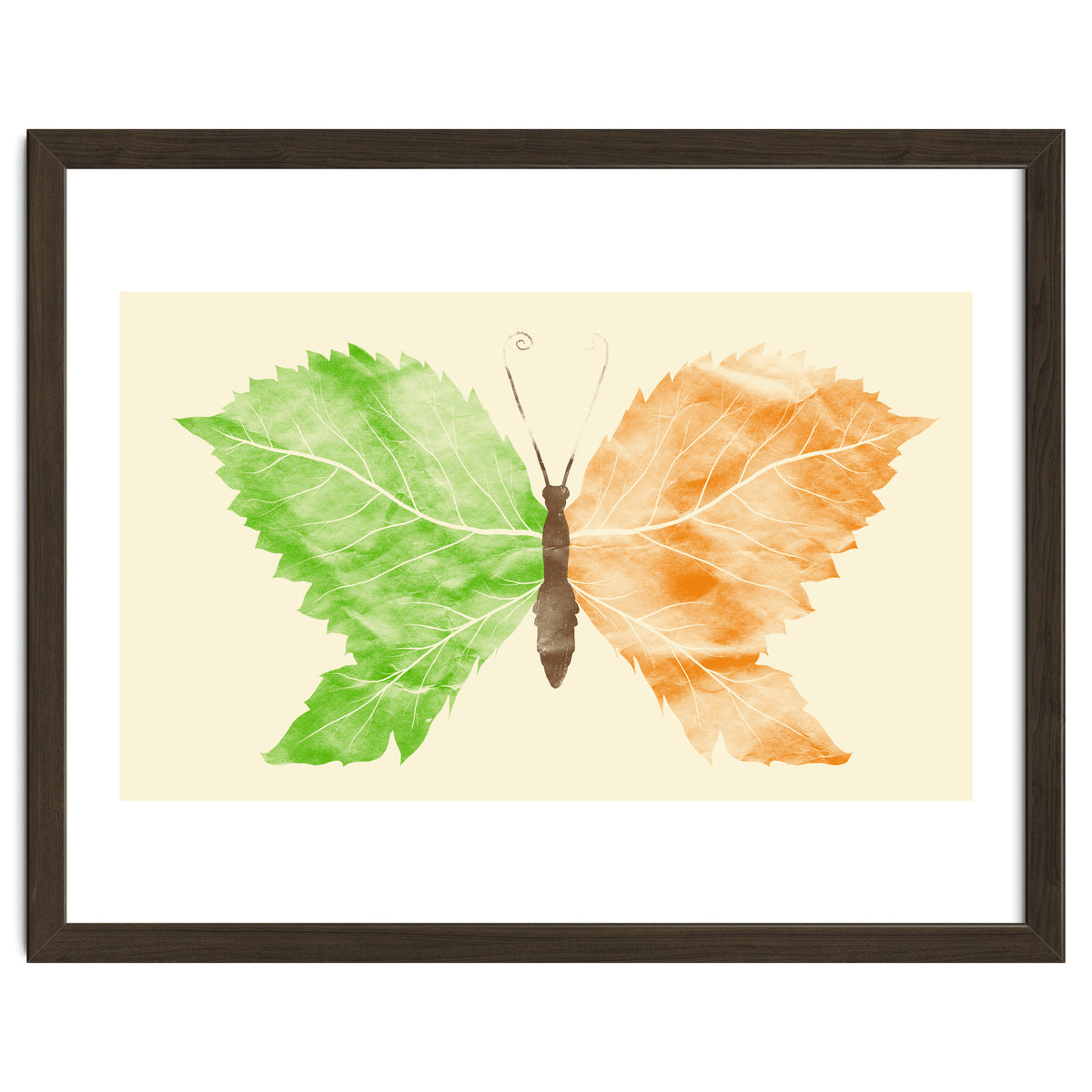 Seasons Change Time Flies