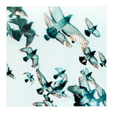 Rise (Print Only) thumbnail