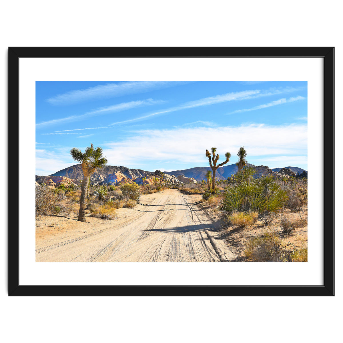 Joshua Tree II