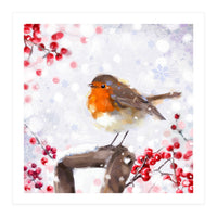Winter robin (Print Only)