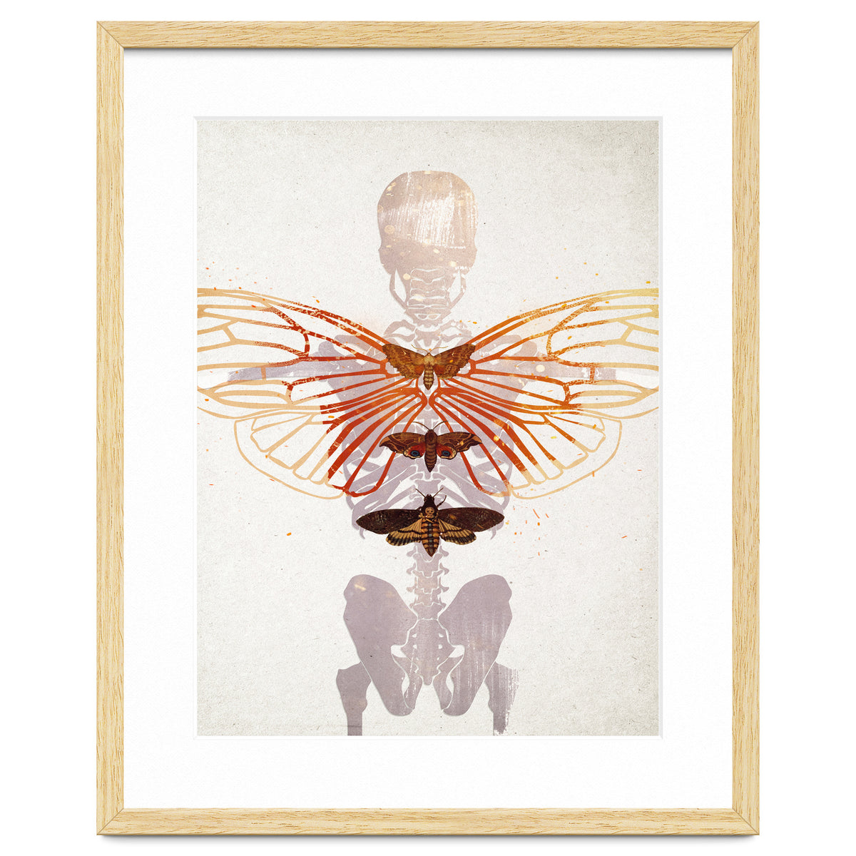 Ikarus - Like a Moth to the Flame