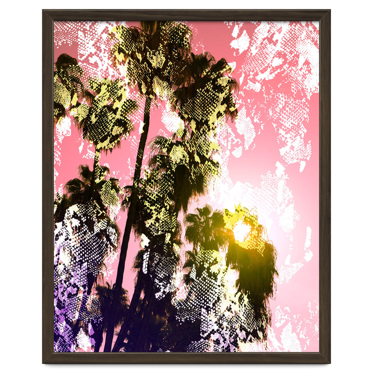 Snake sunset in paradise