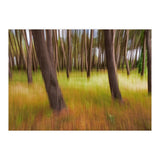 Amongst The Trees (Print Only) thumbnail