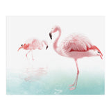 Flamingos (Print Only) thumbnail