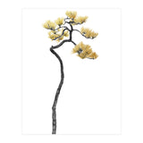 Bonsai Tree 05 (Print Only) thumbnail