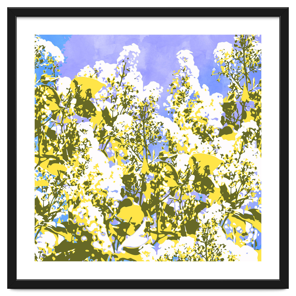 The Contrast Of Desire