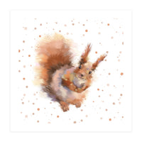 Squirrel - Wild Woods collection (Print Only)