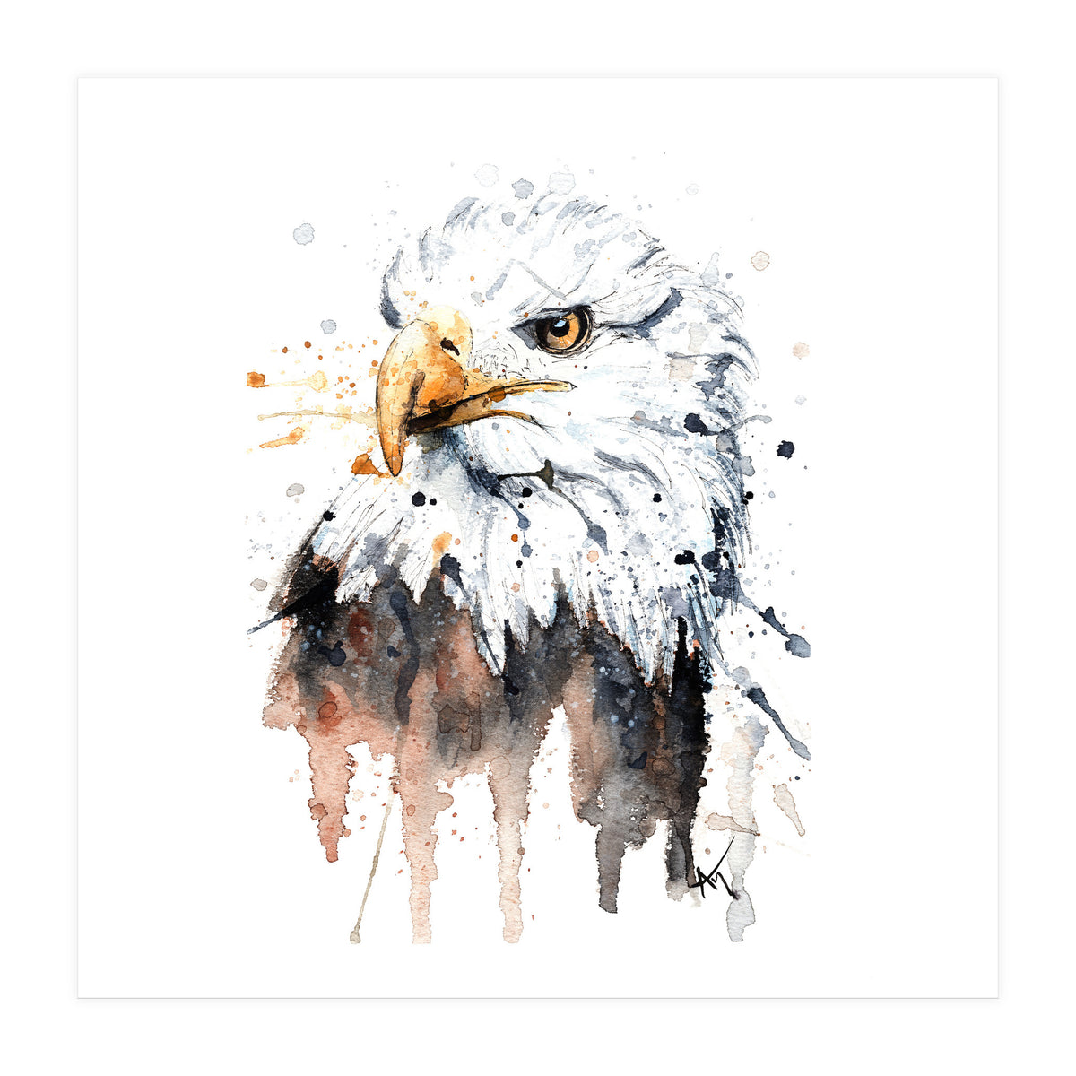 Bald Eagle - Wildlife Collection (Print Only)